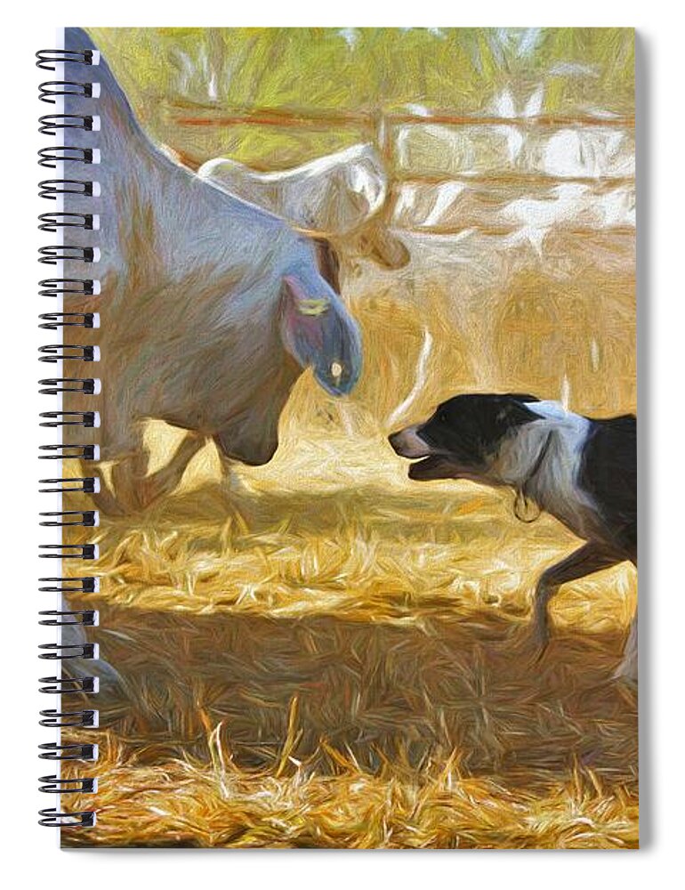 Farm Scene Spiral Notebook featuring the mixed media Cattle Dog Challenging Brahman Cow by Joan Stratton
