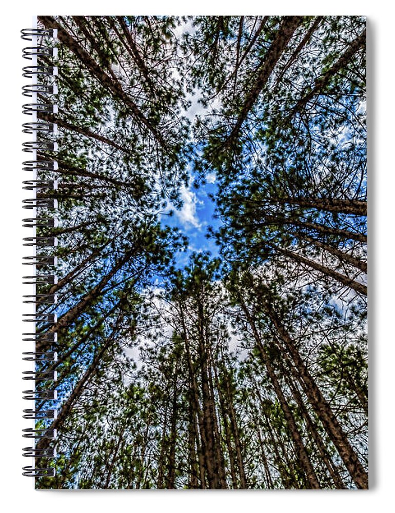 Higgins Lake Spiral Notebook featuring the photograph CCC Pines Lookup by Joe Holley
