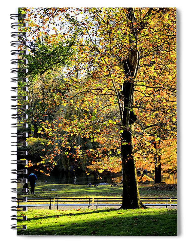 Central Park Spiral Notebook featuring the photograph Central Park Autumn No.2 by Steve Ember
