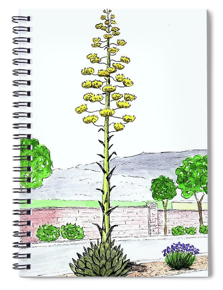 Watercolor And Ink Spiral Notebook featuring the painting Century Plant by Donna Mibus