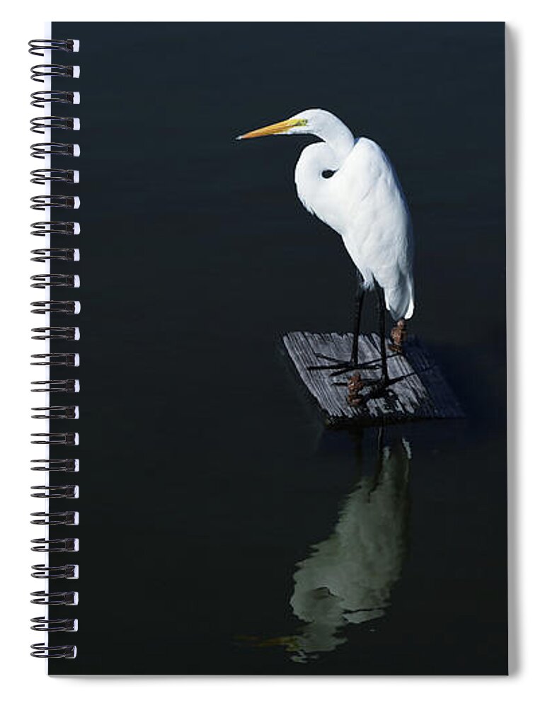 Heron Spiral Notebook featuring the digital art Chairman of the Board by Brad Barton