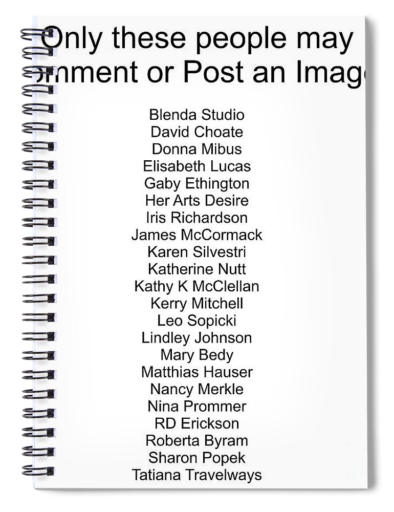  Spiral Notebook featuring the digital art Challenge Participants by Donna Mibus