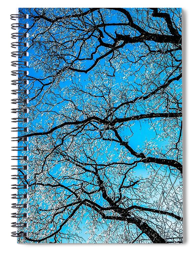 Abstract Spiral Notebook featuring the photograph Chaotic System Of Ice Covered Tree Branches With Blue Sky by Andreas Berthold