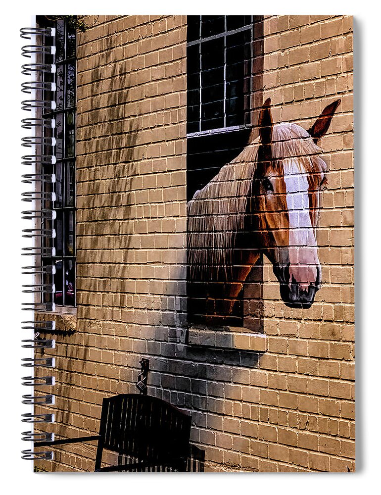 Marietta Georgia Spiral Notebook featuring the photograph Charleston Horse Mural by Tom Singleton