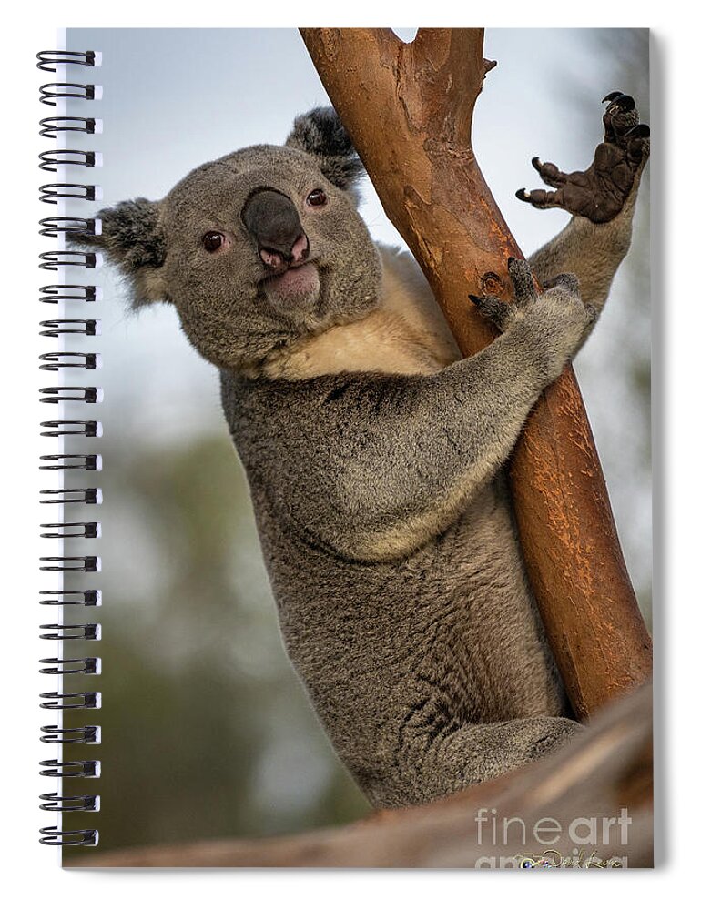 San Diego Zoo Spiral Notebook featuring the photograph Check My Mighty Claw by David Levin