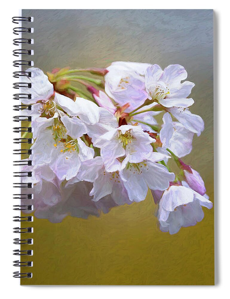 Plant Spiral Notebook featuring the photograph Cherry Blossom Flowers by Art Cole