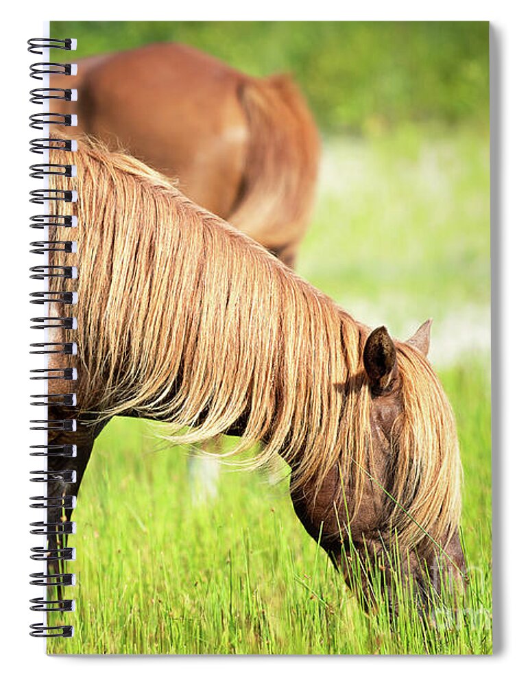 Horse Spiral Notebook featuring the photograph Chestnut horse grazing in a meadow by Rehna George