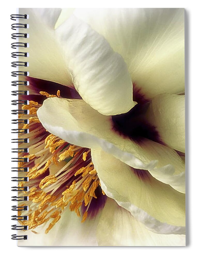 Nature Spiral Notebook featuring the photograph Chichi update by Darlene Kwiatkowski