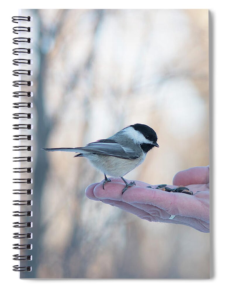 Chickadee Spiral Notebook featuring the photograph Chickadee On Hand by Karen Rispin