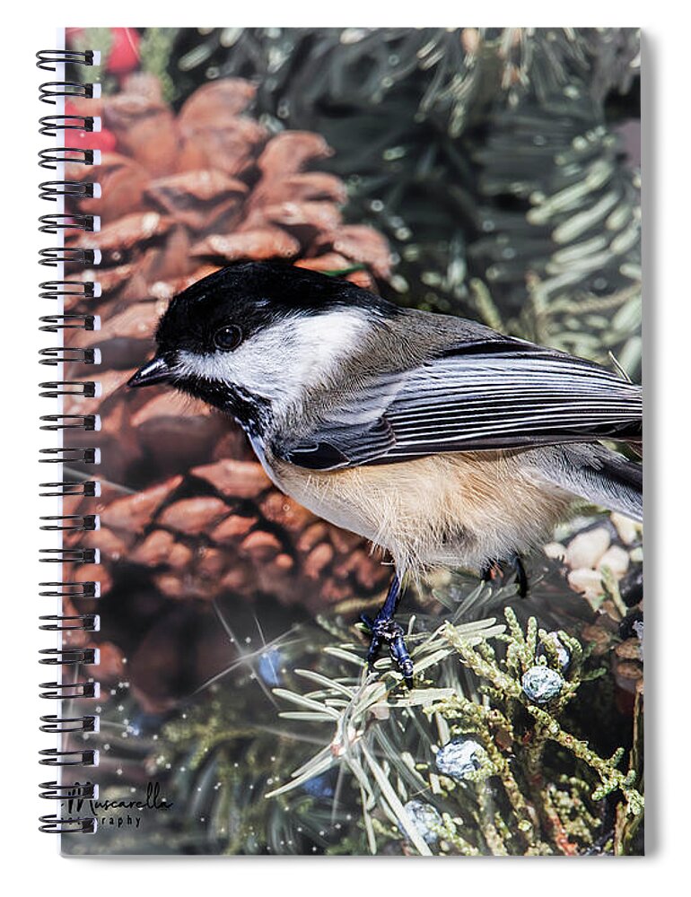 Chickadee Spiral Notebook featuring the photograph Chickadee Sparkle by Regina Muscarella
