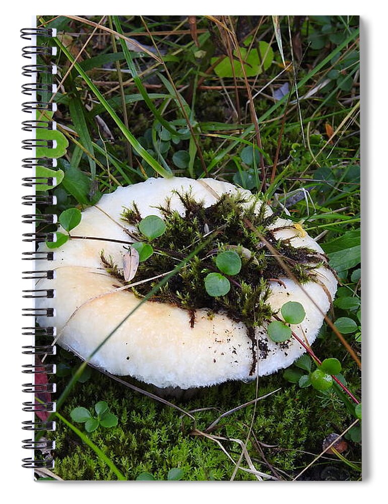 Mushroom Spiral Notebook featuring the photograph Chilcotin Forest Mushroom Garden by Nicola Finch