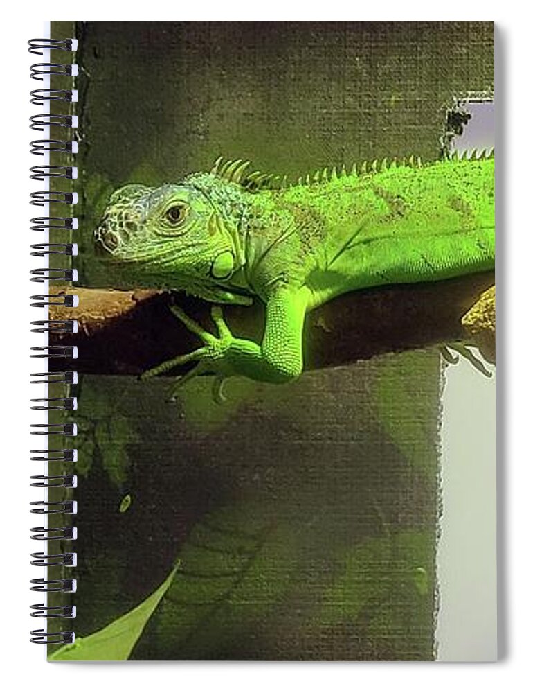 Iguana Green Spiral Notebook featuring the photograph Chilling Iguana by Elena Pratt