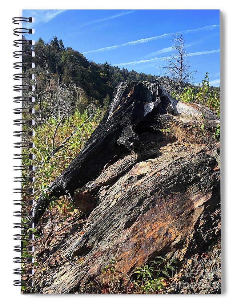 Chimney Tops Spiral Notebook featuring the photograph Chimney Tops 20 by Phil Perkins