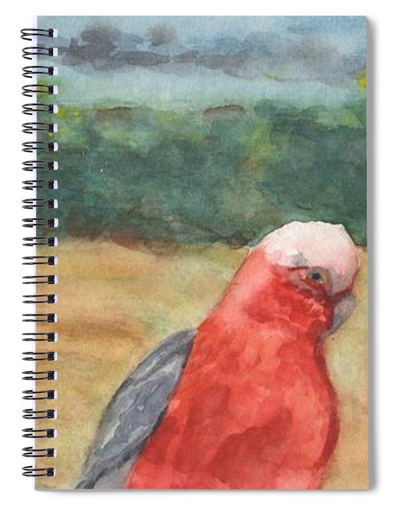 Birds Spiral Notebook featuring the painting Galahs - Wiradjuri - gilaa by Vicki B Littell