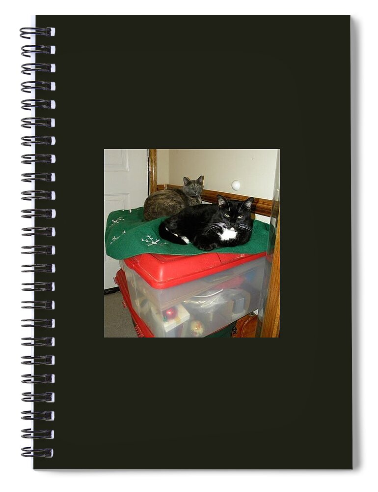 Cats Spiral Notebook featuring the photograph Christmas Memories by Matthew Seufer
