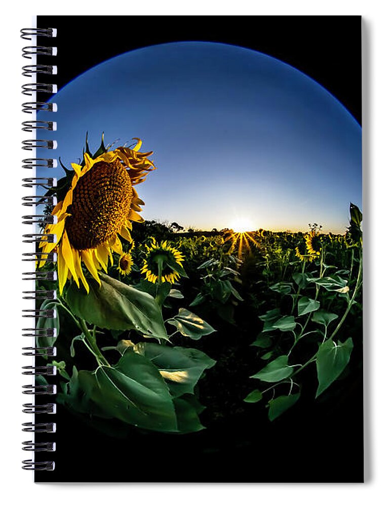 Circular Fisheye Spiral Notebook featuring the photograph Circular fisheye sun flower field at sun rise by Sven Brogren