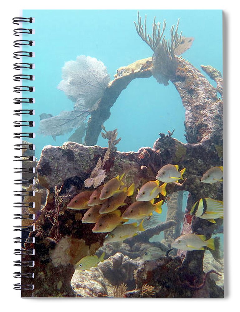 Underwater Spiral Notebook featuring the photograph City of Washington 14 by Daryl Duda