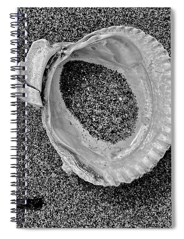 Black And White Spiral Notebook featuring the photograph Clam Shell - Sandy Beach bw by Jerry Abbott