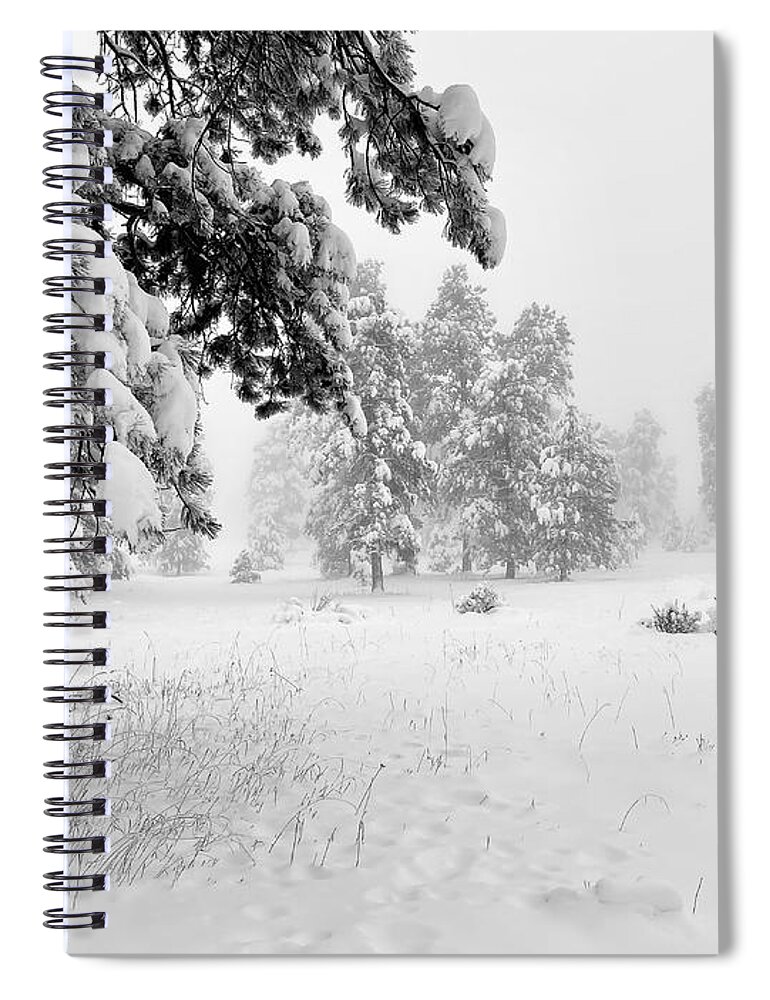 Dan Miller Spiral Notebook featuring the photograph Clash of the Seasons by Dan Miller