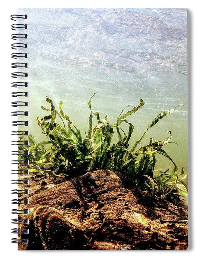 Water Spiral Notebook featuring the photograph Clean Water - Lackawaxen River - Underwater Photography by Amelia Pearn