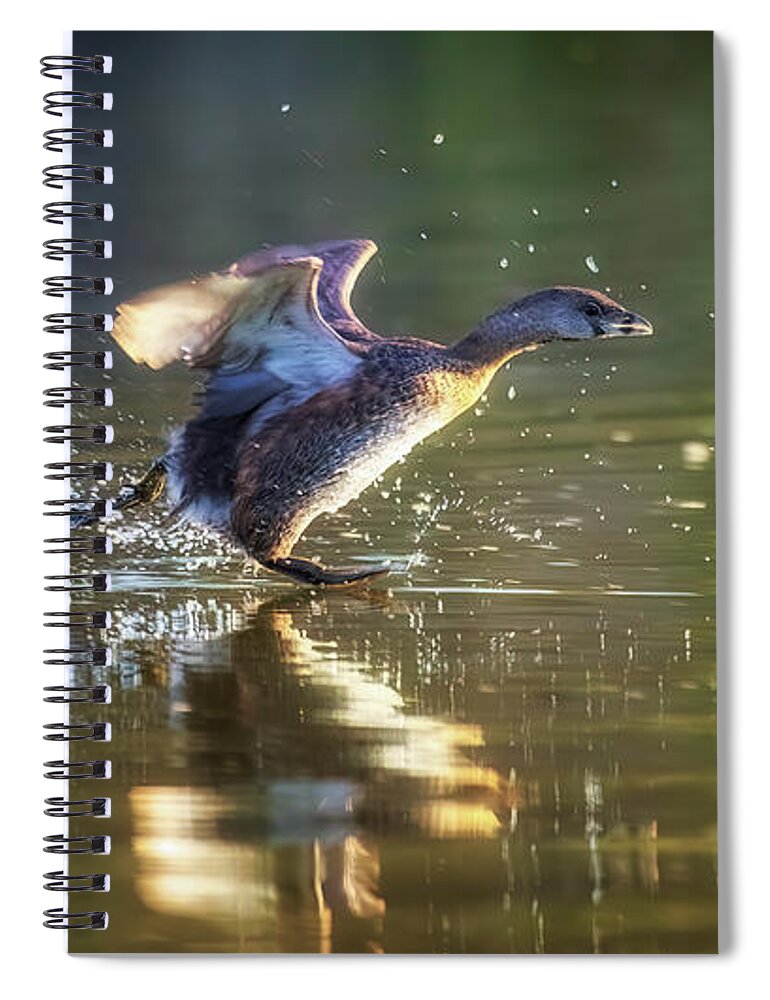 Arboretum Spiral Notebook featuring the photograph Cleared for Takeoff by Rick Furmanek