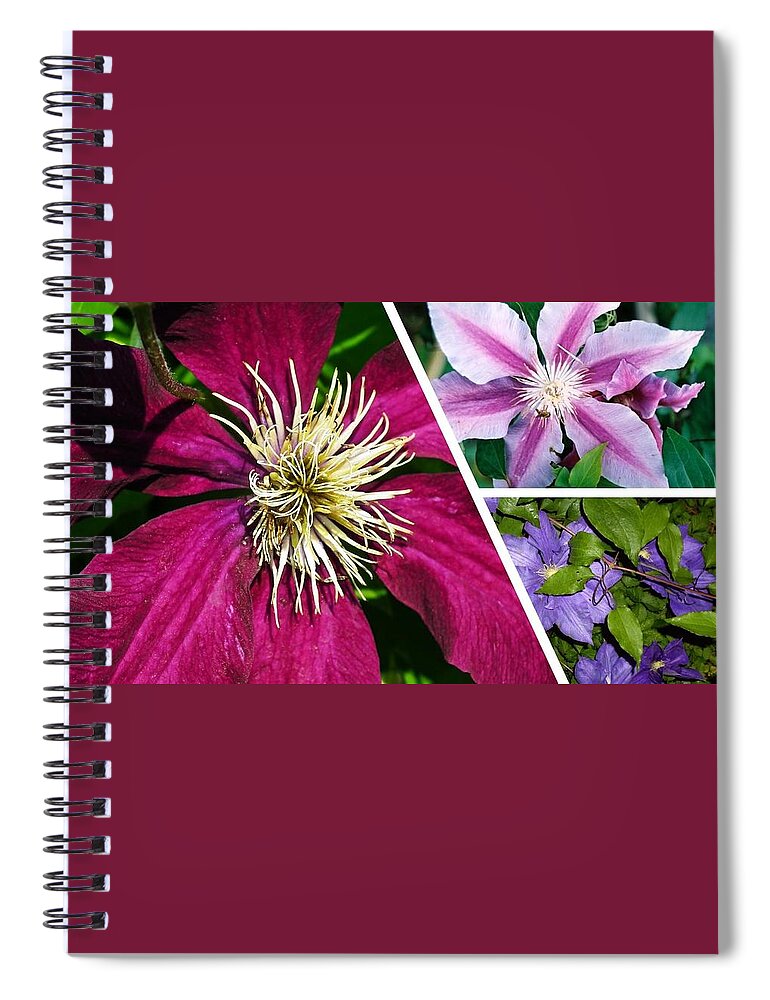 Clematis Spiral Notebook featuring the photograph Clematis Blossoms by Nancy Ayanna Wyatt
