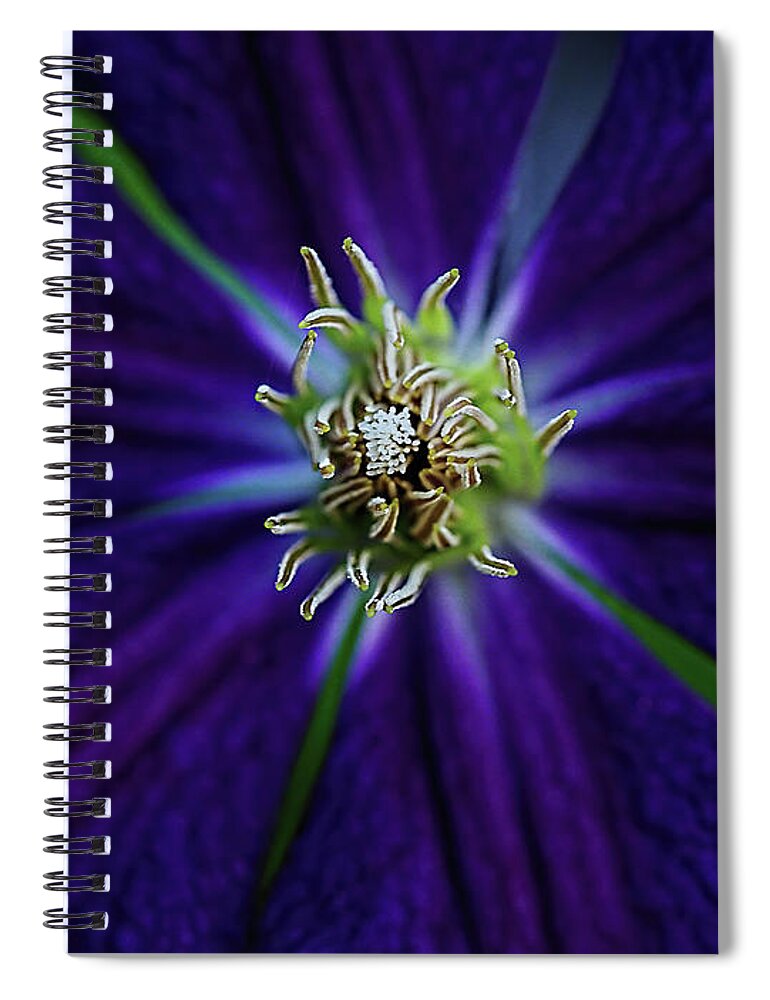 Clematis Spiral Notebook featuring the photograph Clematis Floral Heart by William Jobes