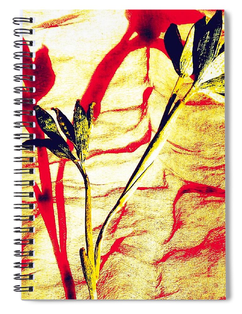 Clementine Spiral Notebook featuring the photograph Clementine Sprig Contemporary by VIVA Anderson