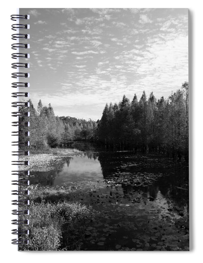 Wetland Spiral Notebook featuring the photograph Cliff Stephens Park Wetland in Black and White by L Bosco