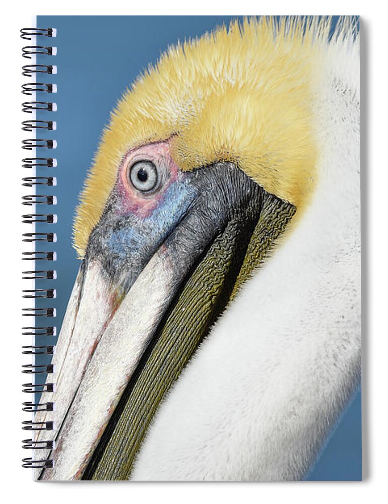 Brown Spiral Notebook featuring the photograph Close Up by Christopher Rice