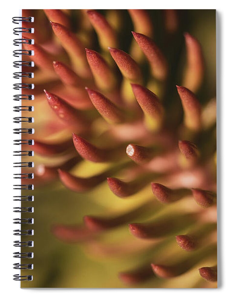 Macro Spiral Notebook featuring the photograph Close-up Nature by Martin Vorel Minimalist Photography