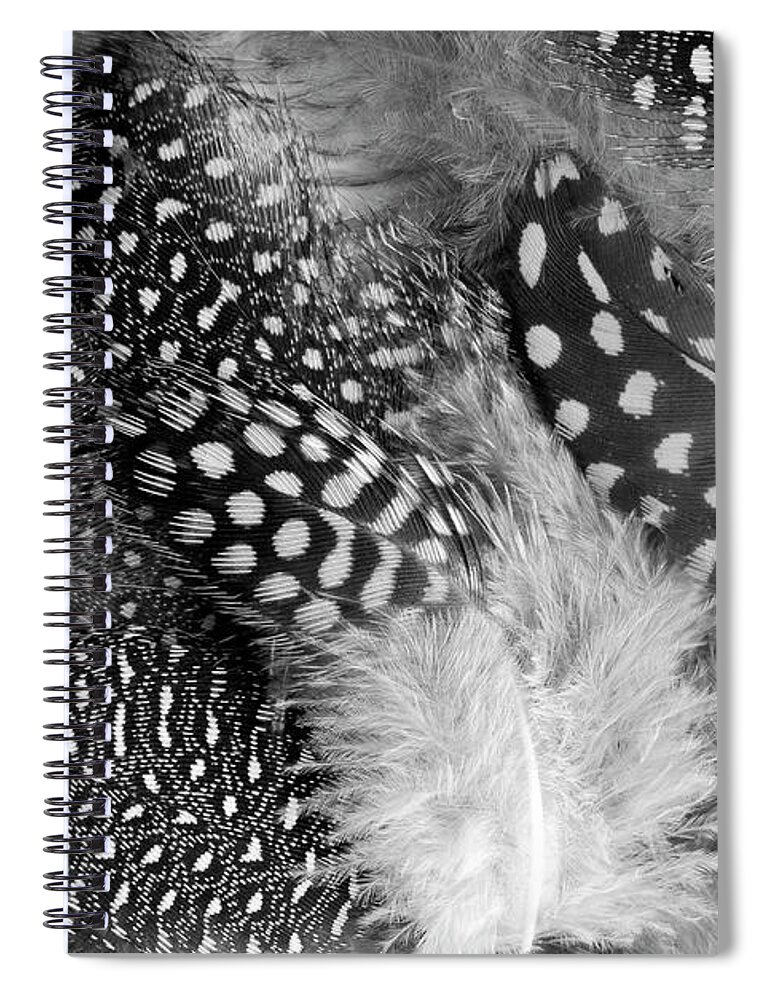 Feathers Spiral Notebook featuring the photograph Closeup Of The Grey Feather Background by Severija Kirilovaite