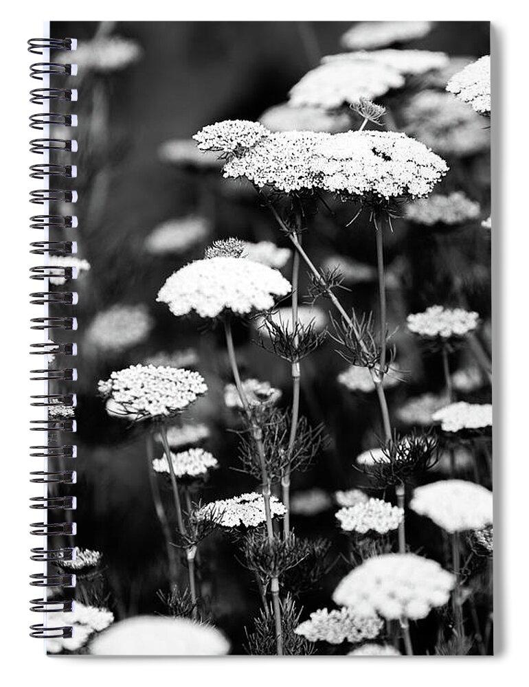 Abstract Spiral Notebook featuring the photograph Cloud Flower by Mike Fusaro
