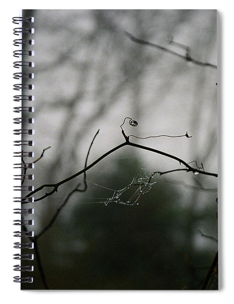 Fog Trees Spider Web Spiral Notebook featuring the photograph Cnrt0412 by Henry Butz