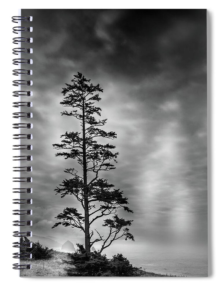 Coastal Pine Spiral Notebook featuring the photograph Coastal Pine by David Patterson