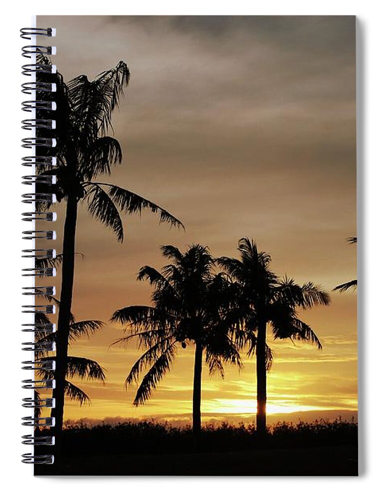 Coconut Spiral Notebook featuring the photograph Coconut trees at sunset by On da Raks
