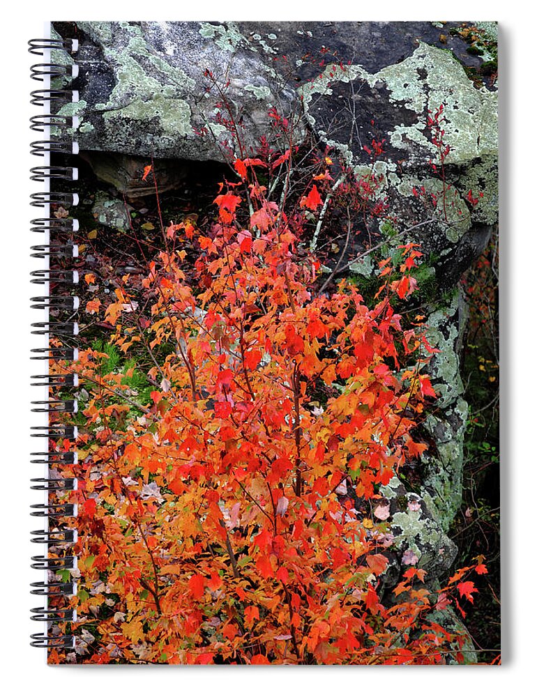 Rock Formations Spiral Notebook featuring the photograph Color and the Rock by George Taylor