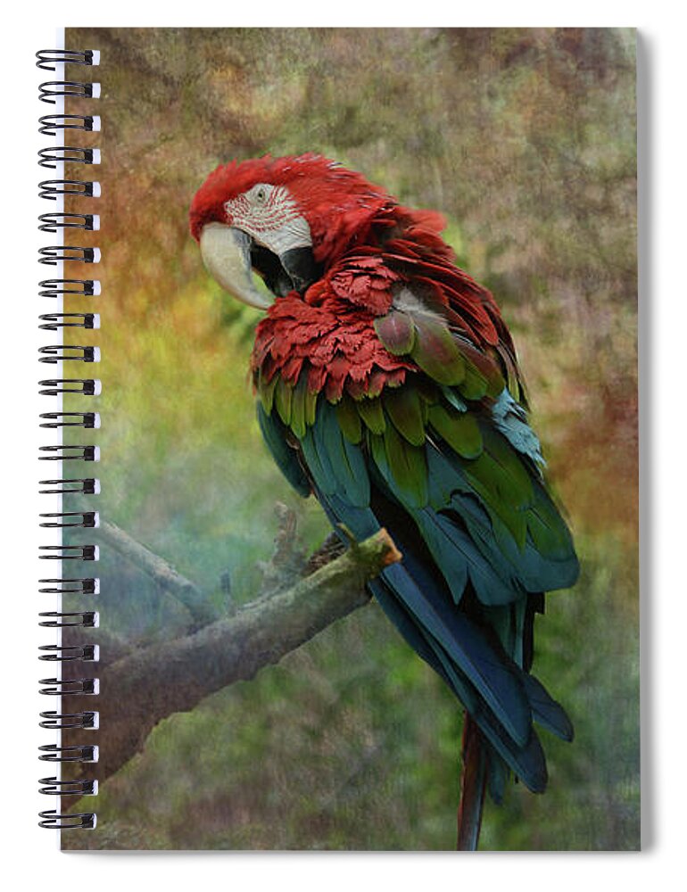 Parrot Spiral Notebook featuring the photograph Color my world by Patricia Dennis