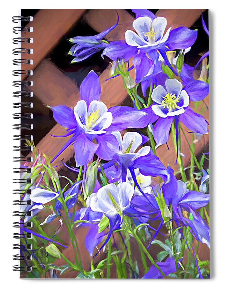 Aquilegia Coerulea Spiral Notebook featuring the photograph Colorado Blue Columbine Painterly by Debra Martz