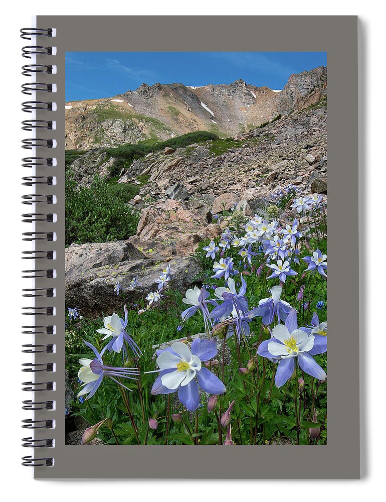 Colorado Spiral Notebook featuring the photograph Colorado Columbine in the Alpine by Cascade Colors