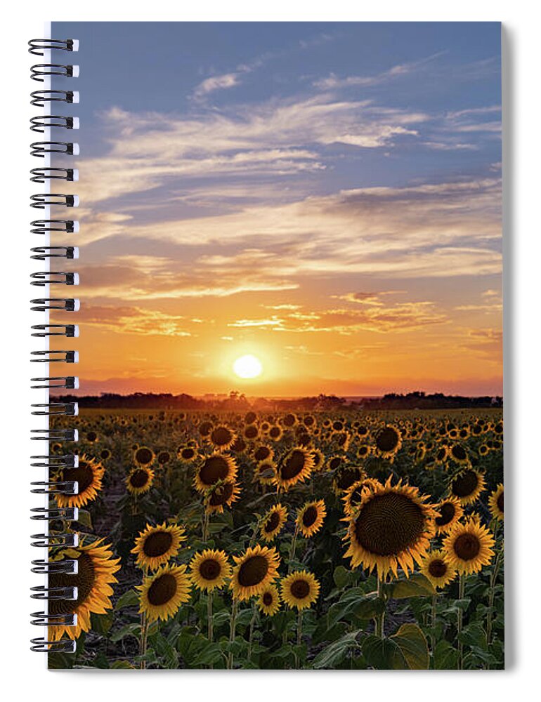Sunset Spiral Notebook featuring the photograph Colorado Sunflower Field at Sunset by Phillip Rubino