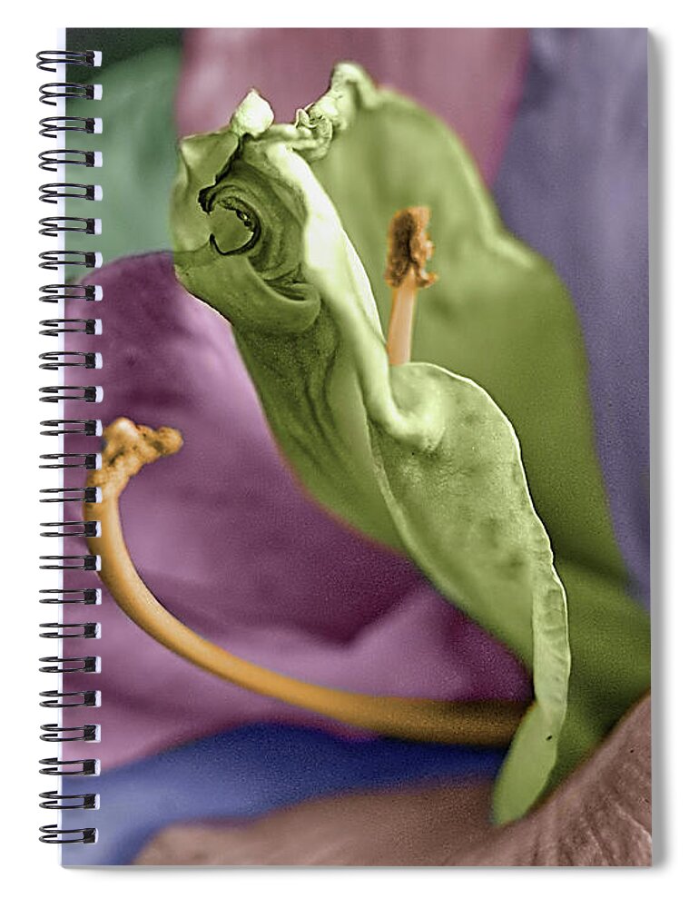 Lily Spiral Notebook featuring the photograph Colored LIly 3 by M Kathleen Warren