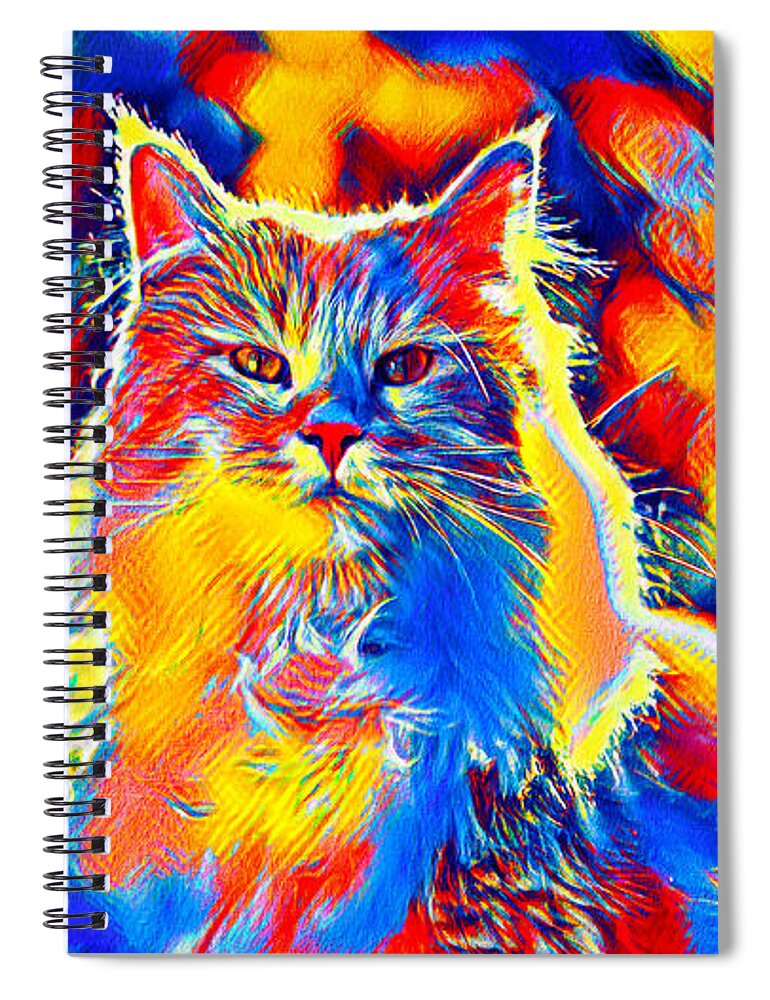 Maine Coon Spiral Notebook featuring the digital art Colorful Maine Coon cat looking at camera in blue, red and orange by Nicko Prints