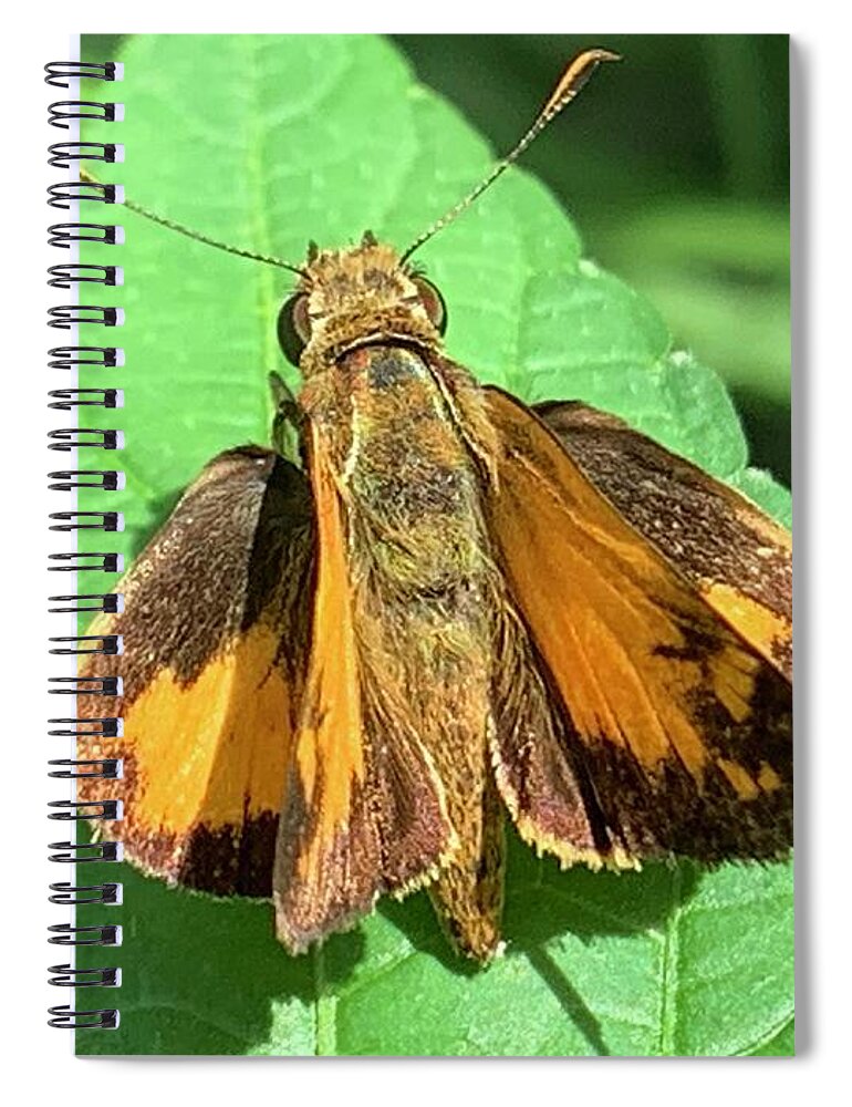 Skipper Spiral Notebook featuring the photograph Colorful Skipper by Catherine Wilson