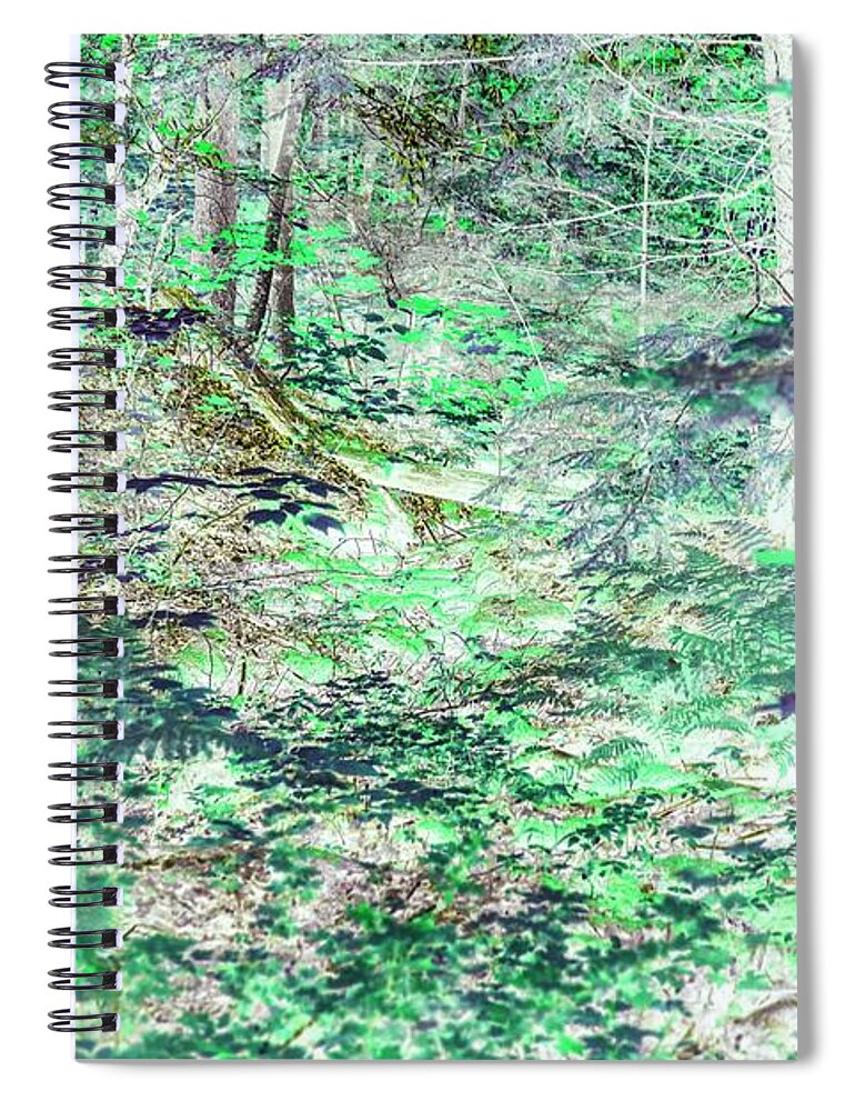 Trees Spiral Notebook featuring the photograph Shades of Green Woodlands by Missy Joy