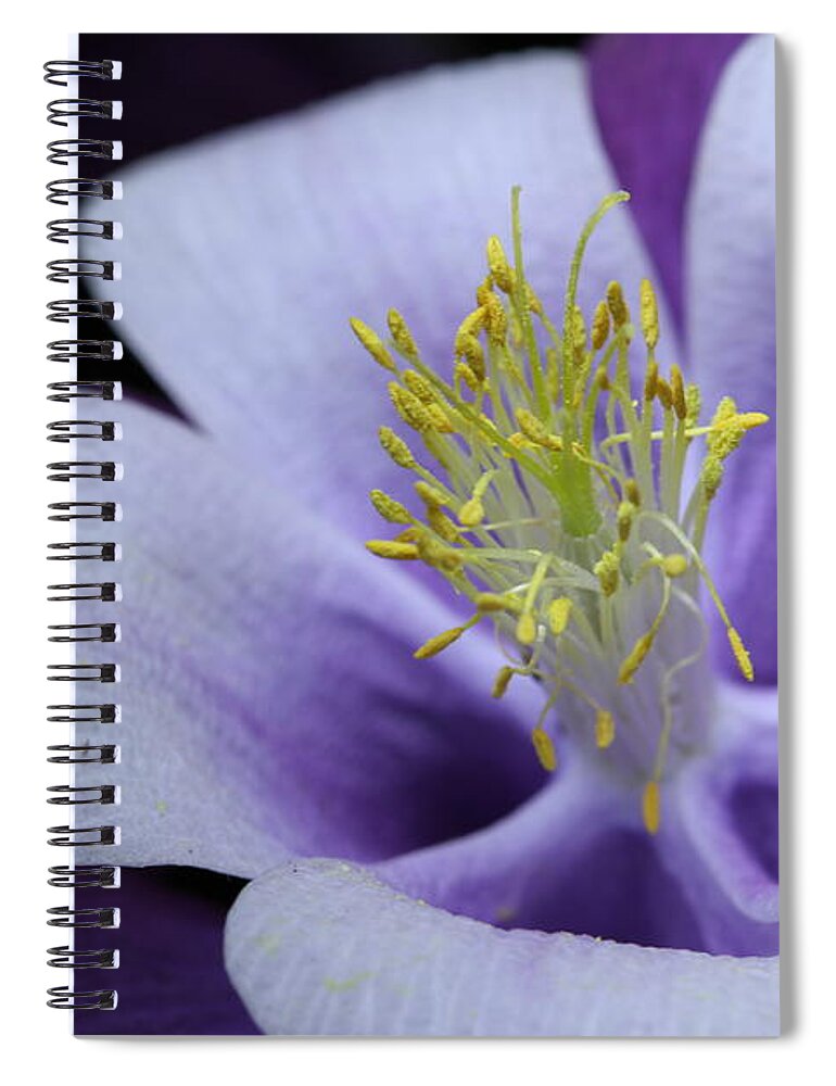 Macro Spiral Notebook featuring the photograph Columbine 764 by Julie Powell