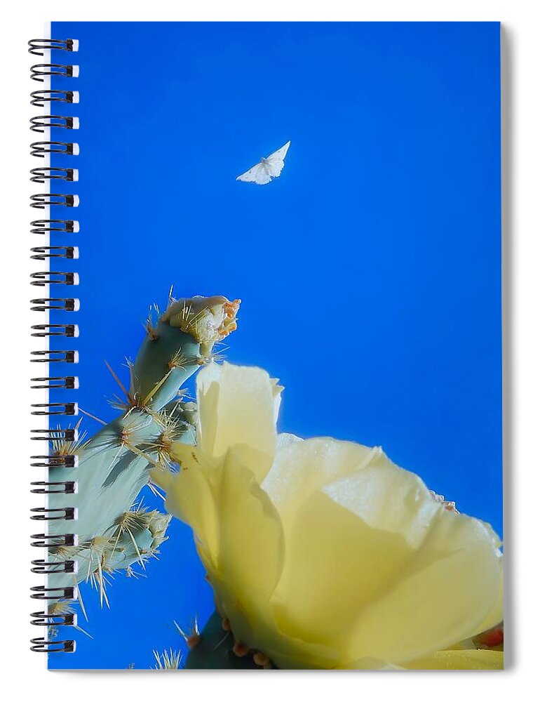 Prickly Pears Spiral Notebook featuring the photograph Come Back by Judy Kennedy