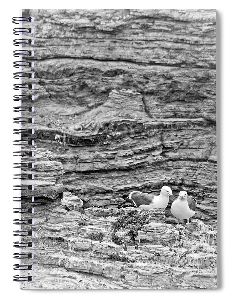 Seaguls Spiral Notebook featuring the photograph Comfort on the Cliff by Gina Cinardo