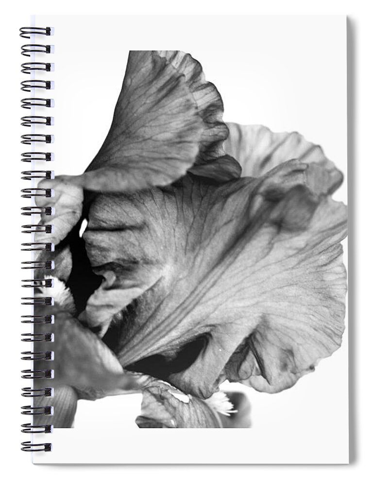 Iris Spiral Notebook featuring the photograph Coming Out of His Shell No. 0036 BW by Sherry Hallemeier