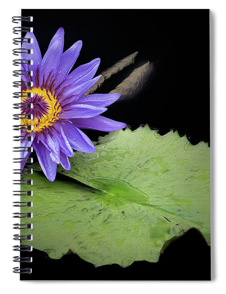 Summer Spiral Notebook featuring the photograph Companions. by Usha Peddamatham